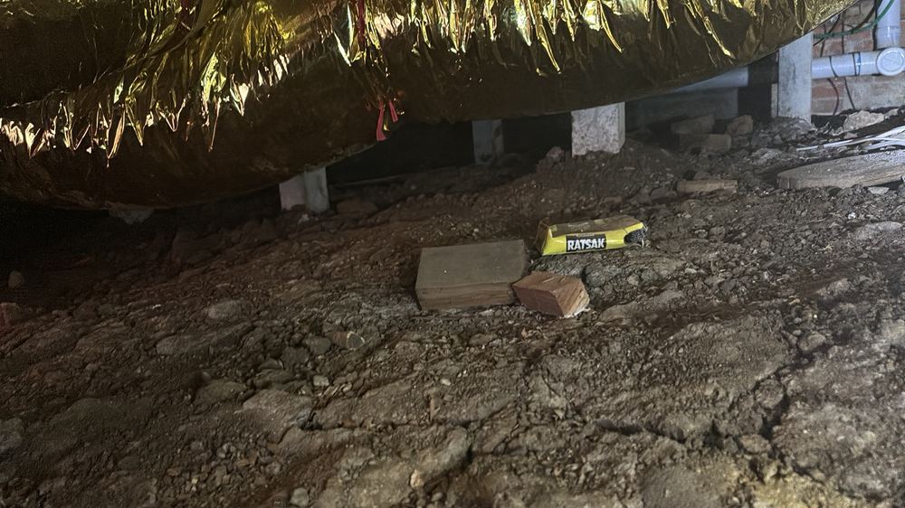 Termite and pest risk, Sunbury