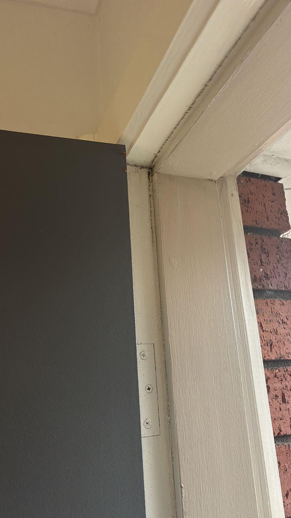 External door with no weather seal fitted, found during a pre-purchase inspection in Westmeadows
