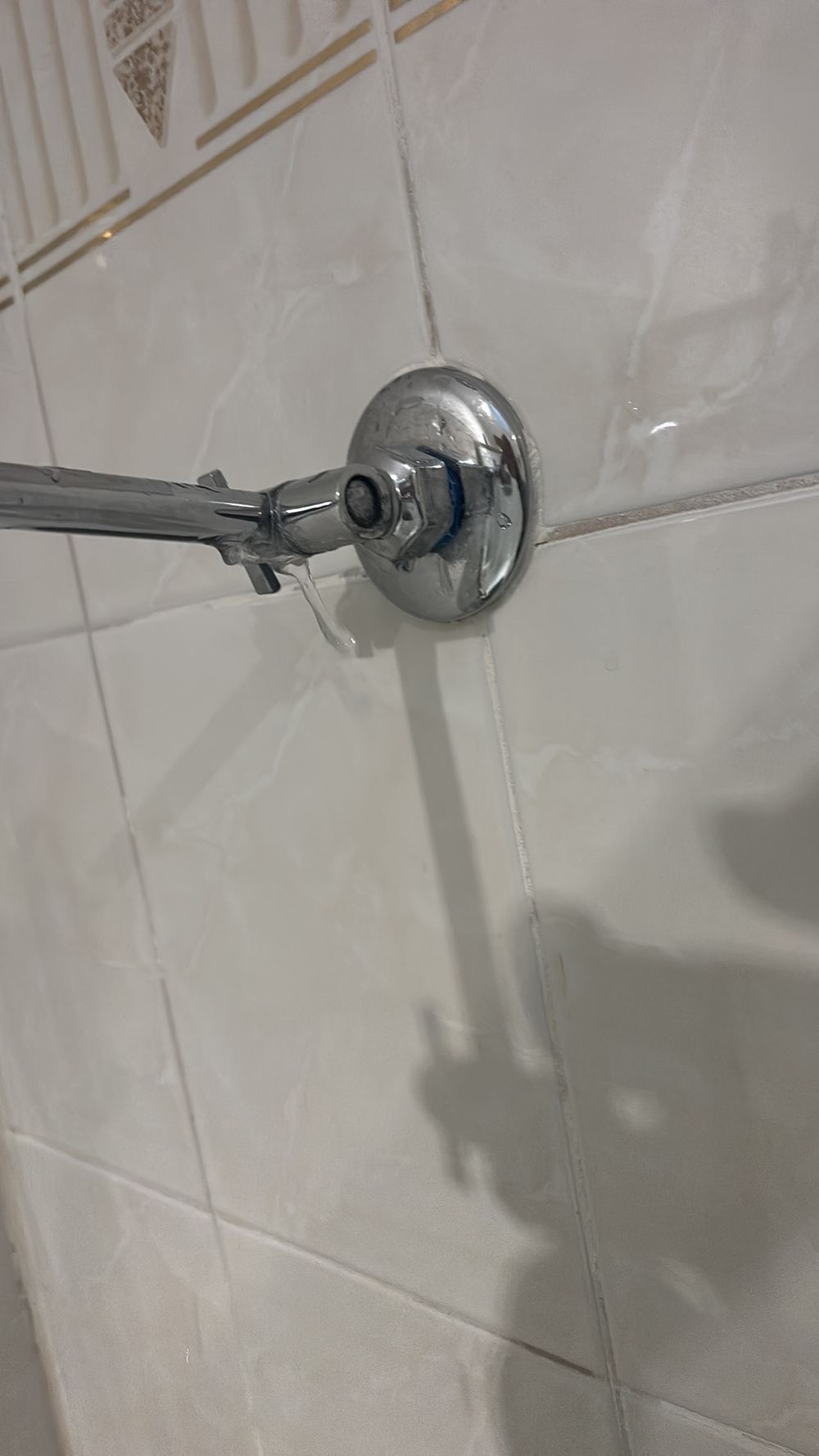 Tap leaking when run, needing a plumber to service it, found during a pre-purchase inspection in Westmeadows